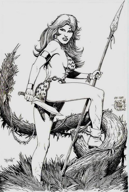 SHEENA Commission, 2003