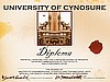 UNIVERSITY OF CYNOSURE DIPLOMA